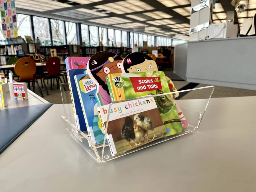 magbrowz small bin - acrylic display of children's board books
