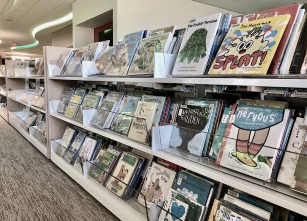 large magbrowz bin for picture books, tufts library