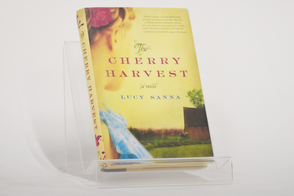 Small Face-Out Display for Library Books, CDs, DVDs and more merchandising possibilities