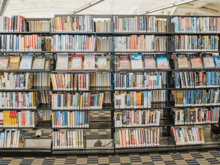 Sloped and Face-out Library Book Display Insert